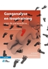 Afbeelding van Ganganalyse en looptraining