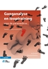 Afbeelding van Ganganalyse en looptraining
