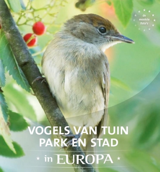 Afbeelding van Vogels van tuin, park en stad in Europa