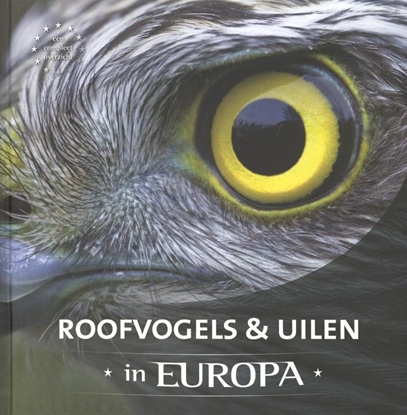 Afbeeldingen van Roofvogels & uilen in Europa
