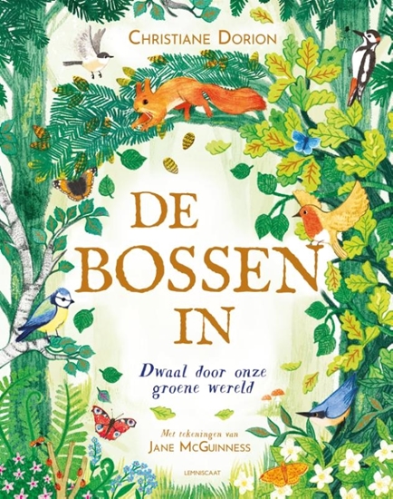 Afbeelding van De bossen in