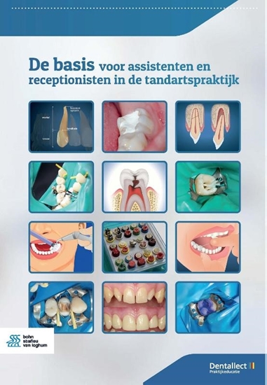 Afbeelding van De basis voor assistenten en receptionisten in de tandartspraktijk