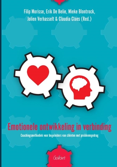 Afbeelding van Emotionele ontwikkeling in verbinding