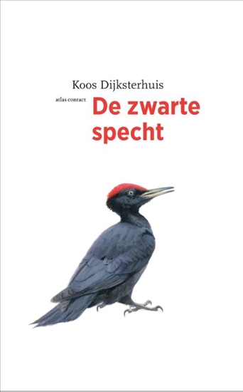 Afbeelding van De vogelserie De zwarte specht