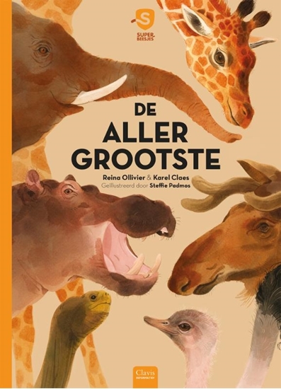 Afbeelding van Superbeesjes De allergrootste
