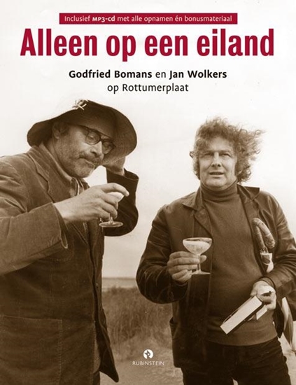 Afbeelding van Alleen op een eiland