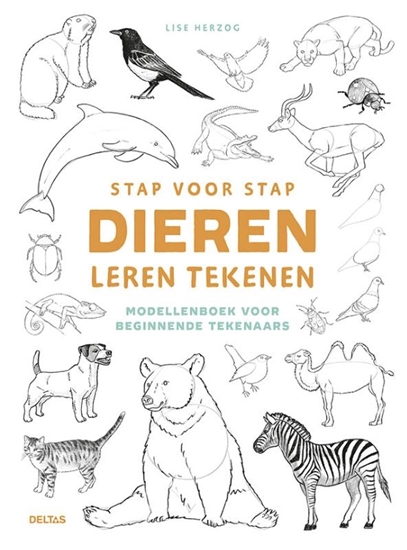 Afbeelding van Stap voor stap dieren leren tekenen