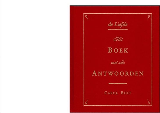 Afbeelding van De Liefde - boek met alle antwoorden - mini