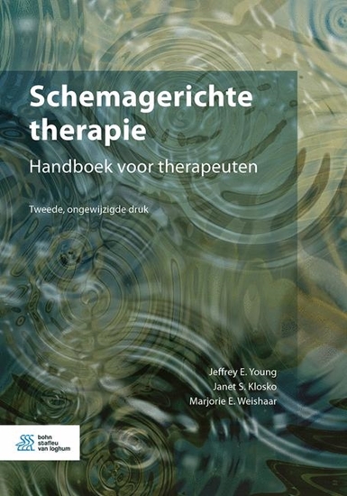 Afbeelding van Schemagerichte therapie