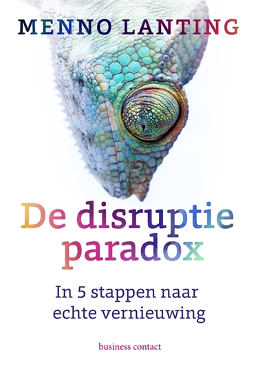 Afbeelding van De disruptieparadox