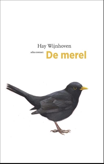 Afbeelding van De vogelserie De merel