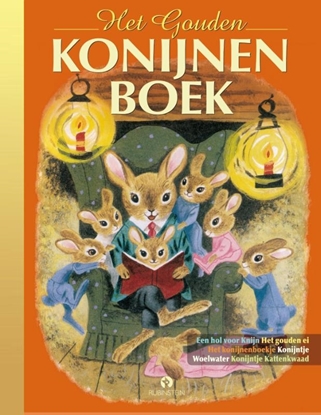 Afbeeldingen van Gouden Voorleesboeken Het Gouden Konijnenboek