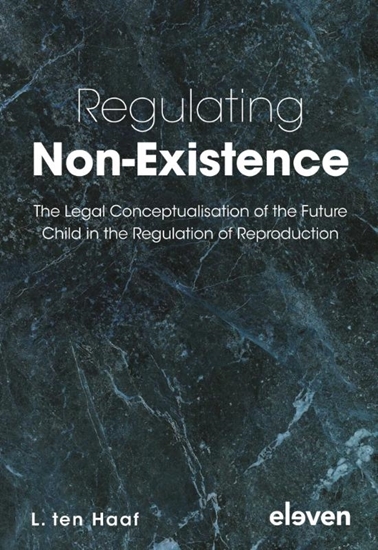 Afbeelding van Regulating Non-Existence