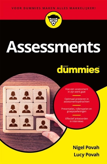 Afbeelding van Voor Dummies Assessments voor dummies