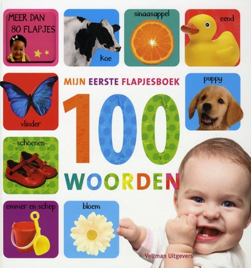 Afbeelding van Mijn eerste flapjesboek 100 woorden