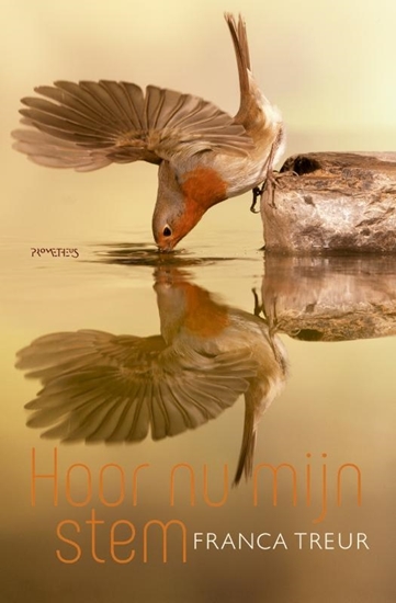 Afbeelding van Hoor nu mijn stem