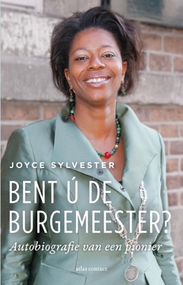 Afbeeldingen van Bent ú de burgemeester?