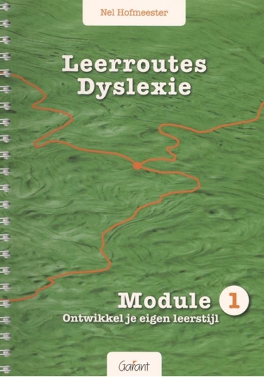 Afbeelding van Leerroutes dyslexie Module 1: ontwikkel je eigen leerstijl