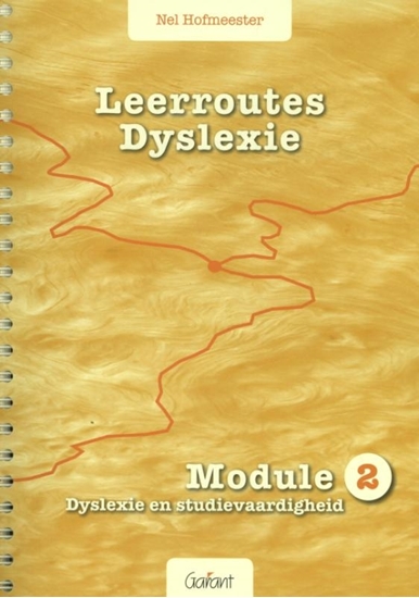 Afbeelding van Leerroutes Dyslexie Module 2 dyslexie en studievaardigheid