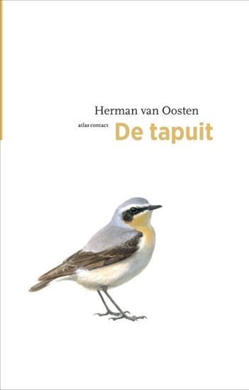 Afbeelding van De vogelserie De tapuit
