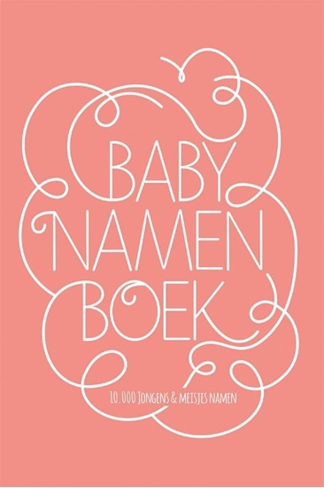 Afbeelding van Babynamenboek