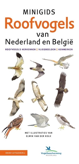 Afbeelding van Minigids Set Minigids Roofvogels van Nederland en Belgie