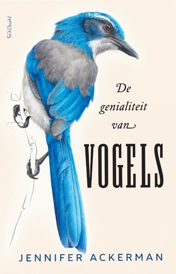 Afbeelding van De genialiteit van vogels