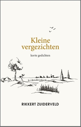 Afbeeldingen van Kleine vergezichten