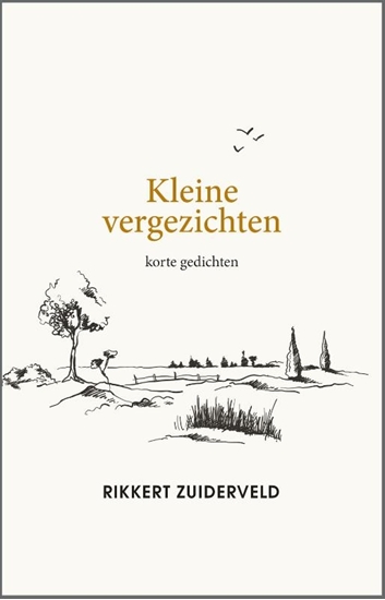 Afbeelding van Kleine vergezichten