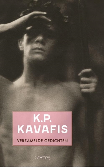 Afbeelding van Verzamelde gedichten