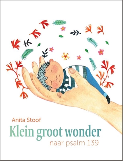 Afbeelding van Klein groot wonder