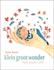 Afbeelding van Klein groot wonder