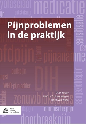 Afbeeldingen van Pijnproblemen in de praktijk