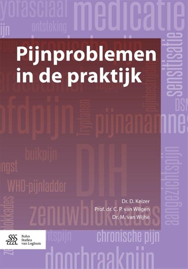 Afbeelding van Pijnproblemen in de praktijk