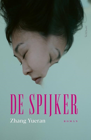 Afbeelding van De spijker