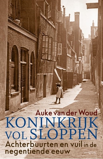 Afbeelding van Koninkrijk vol sloppen