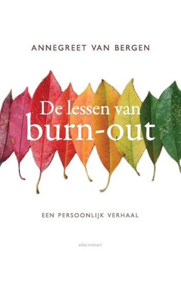 Afbeelding van De lessen van Burn-out