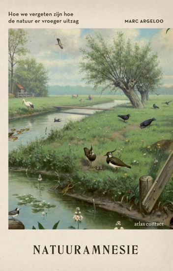 Afbeelding van Natuuramnesie