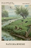 Afbeelding van Natuuramnesie