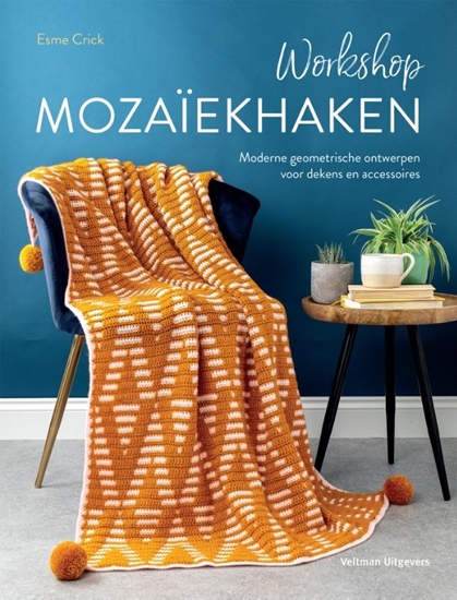 Afbeelding van Workshop mozaïekhaken