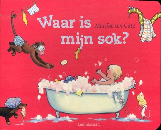 Afbeelding van Waar is mijn sok