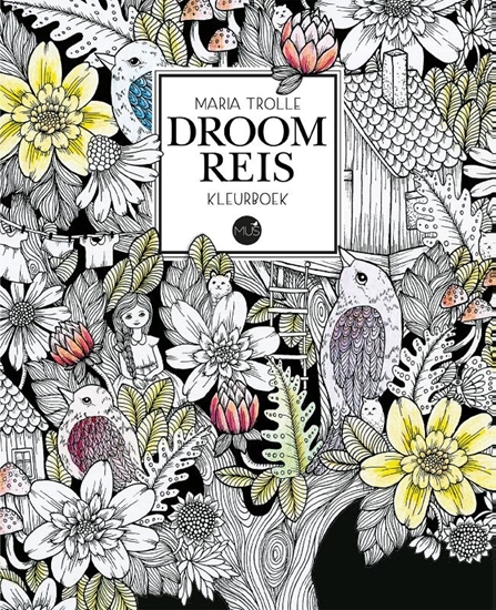 Afbeelding van Droomreis kleurboek