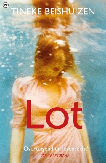 Afbeelding van Lot