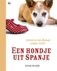 Afbeelding van Een hondje uit Spanje