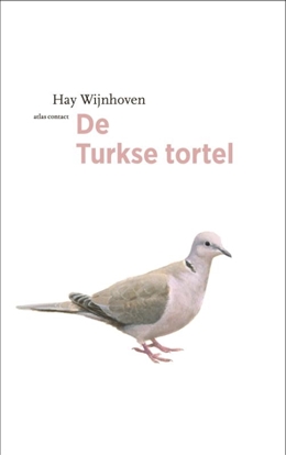 Afbeeldingen van De vogelserie De Turkse tortel