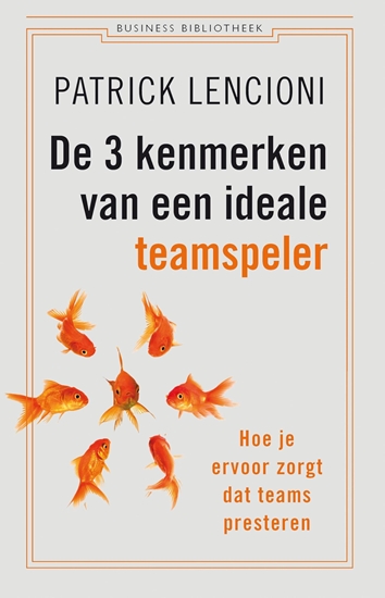Afbeelding van Business bibliotheek De 3 kenmerken van een ideale teamspeler