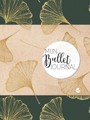 Afbeeldingen van Mijn bullet journal
