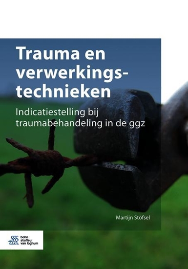 Afbeelding van Trauma en verwerkingstechnieken