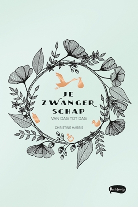 Afbeeldingen van Je zwangerschap van dag tot dag