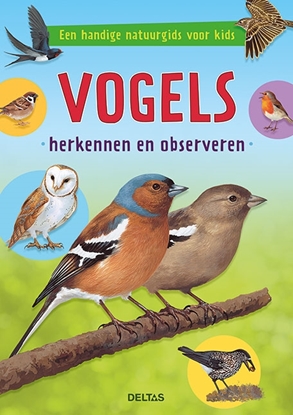Afbeeldingen van Vogels herkennen en observeren